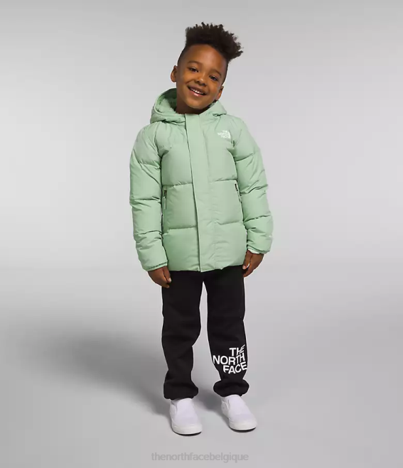 sauge brumeuse enfants The North Face doudoune à capuche north 62XR864