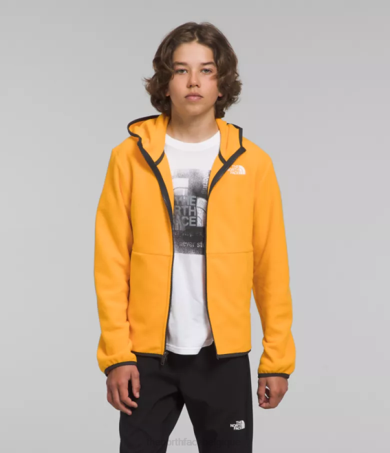 or du sommet enfants The North Face veste à capuche entièrement zippée Glacier 62XR948