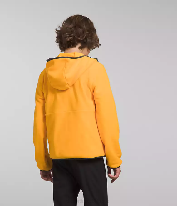 or du sommet enfants The North Face veste à capuche entièrement zippée Glacier 62XR948