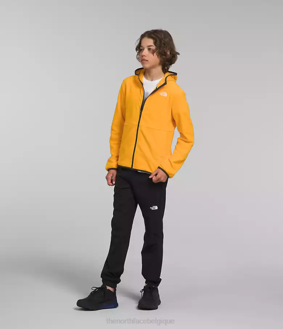 or du sommet enfants The North Face veste à capuche entièrement zippée Glacier 62XR948