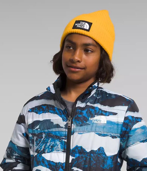 impression de traversée de montagne bleu optique enfants The North Face veste à capuche réversible à fermeture éclair intégrale mt chimbo 62XR80