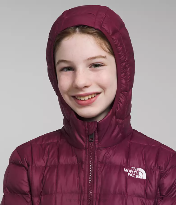 mûre de Boysen enfants The North Face parka thermoball 62XR459