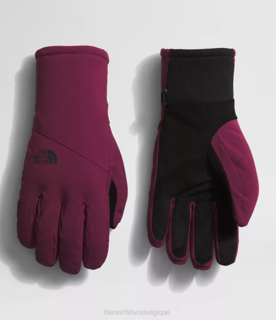 mûre de Boysen femmes The North Face gants shelbe raschel etip 62XR860