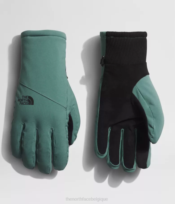 sauge noire femmes The North Face gants shelbe raschel etip 62XR861