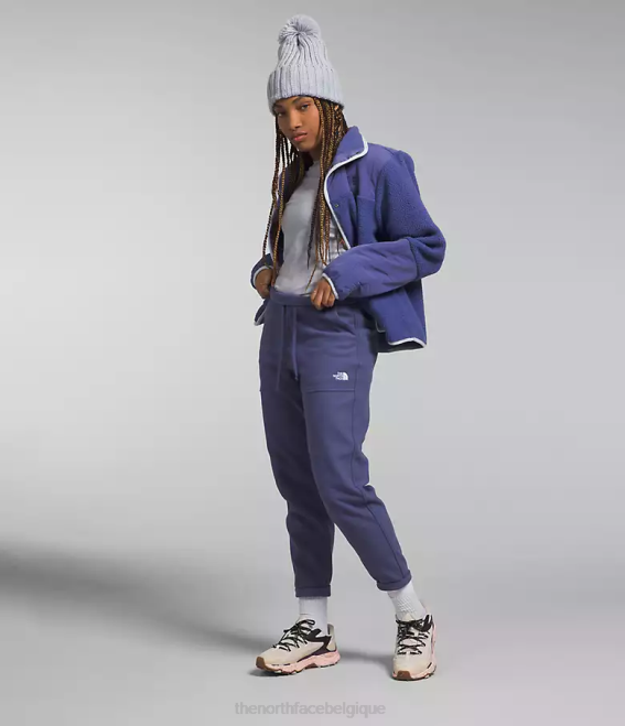 bleu grotte femmes The North Face pantalon alpin polartec 100 62XR845
