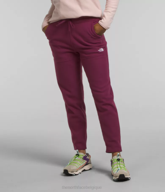 mûre de Boysen femmes The North Face pantalon alpin polartec 100 62XR846