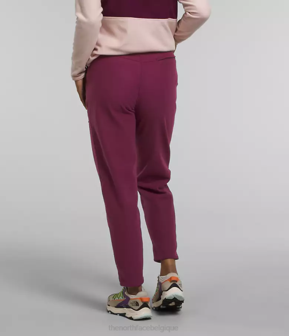 mûre de Boysen femmes The North Face pantalon alpin polartec 100 62XR846