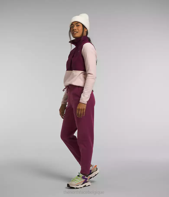 mûre de Boysen femmes The North Face pantalon alpin polartec 100 62XR846