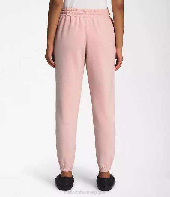 mousse rose/blanc tnf femmes The North Face pantalon de survêtement en molleton à demi-dôme 62XR981