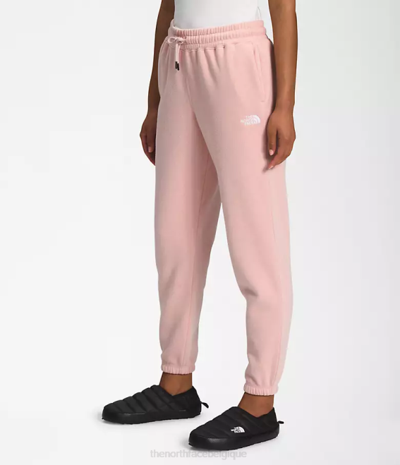 mousse rose/blanc tnf femmes The North Face pantalon de survêtement en molleton à demi-dôme 62XR981
