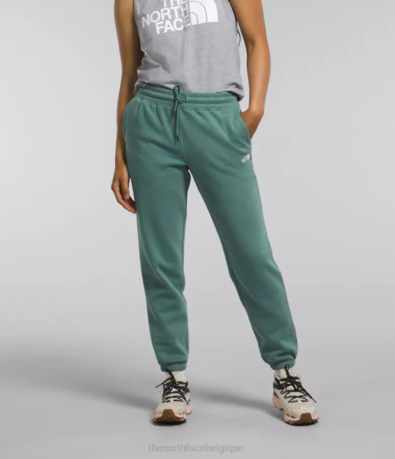 sauge foncée/blanc tnf femmes The North Face pantalon de survêtement en molleton à demi-dôme 62XR976