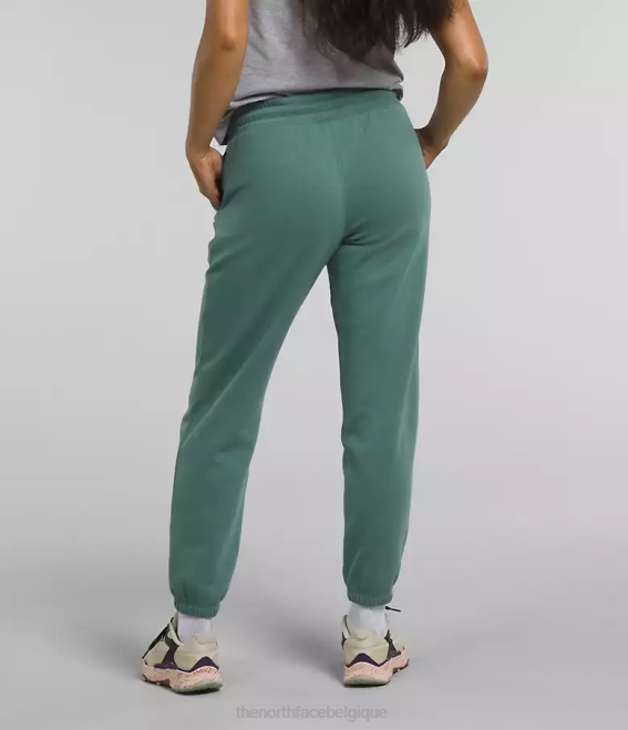sauge foncée/blanc tnf femmes The North Face pantalon de survêtement en molleton à demi-dôme 62XR976