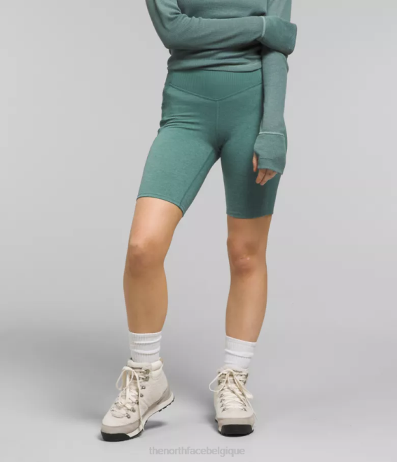 bruyère sauge foncée femmes The North Face short collant 9'' dune sky 62XR812