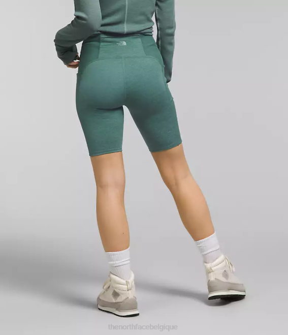 bruyère sauge foncée femmes The North Face short collant 9'' dune sky 62XR812