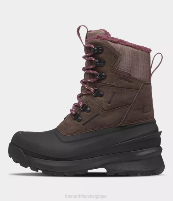 taupe foncé/noir tnf femmes The North Face bottes imperméables chilkat v 400 62XR947