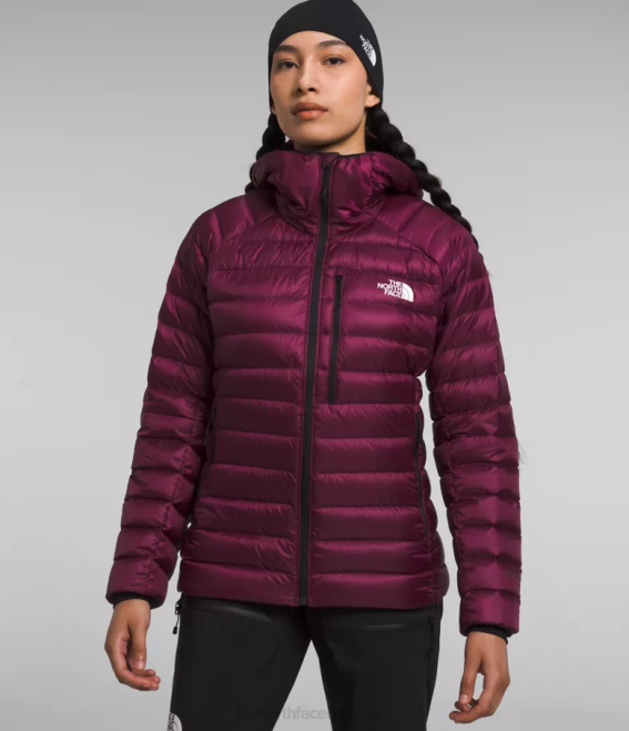 mûre de Boysen femmes The North Face sweat à capuche breithorn série summit 62XR668
