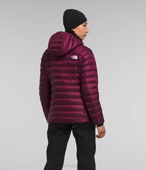 mûre de Boysen femmes The North Face sweat à capuche breithorn série summit 62XR668