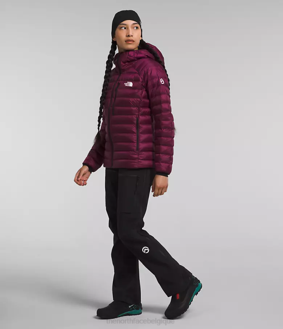 mûre de Boysen femmes The North Face sweat à capuche breithorn série summit 62XR668