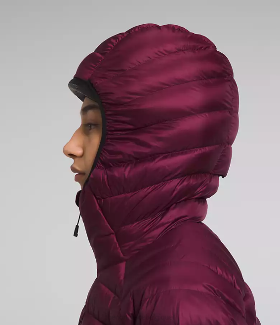 mûre de Boysen femmes The North Face sweat à capuche breithorn série summit 62XR668