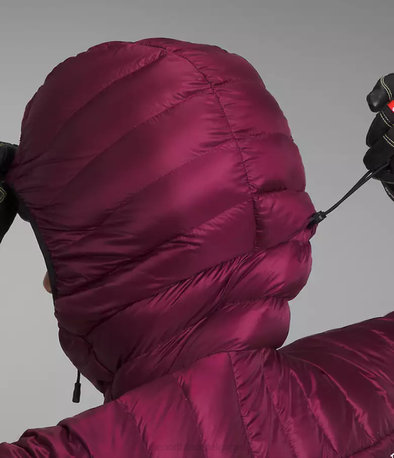 mûre de Boysen femmes The North Face sweat à capuche breithorn série summit 62XR668