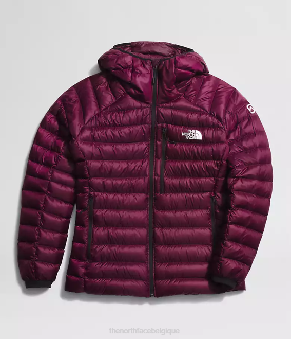 mûre de Boysen femmes The North Face sweat à capuche breithorn série summit 62XR668