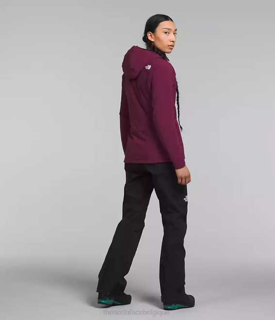 mûre de Boysen femmes The North Face sweat à capuche hybride casaval série summit 62XR323