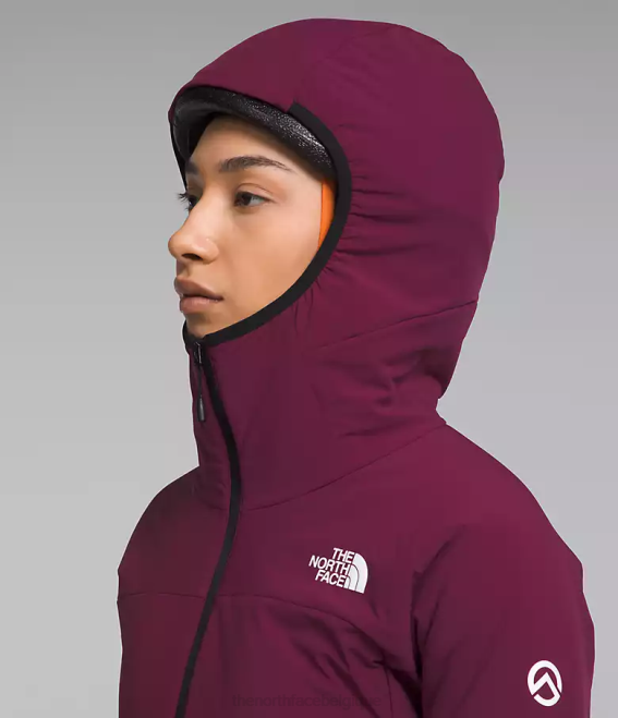 mûre de Boysen femmes The North Face sweat à capuche hybride casaval série summit 62XR323