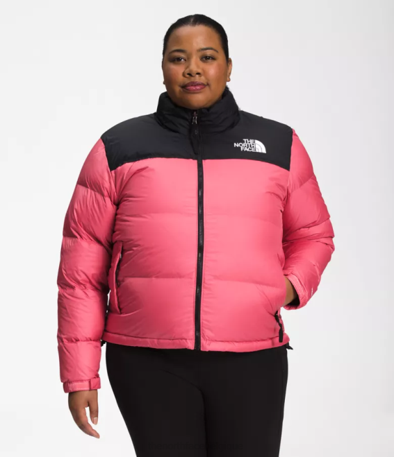 cosmos rose femmes The North Face plus veste nuptse rétro 1996 62XR799
