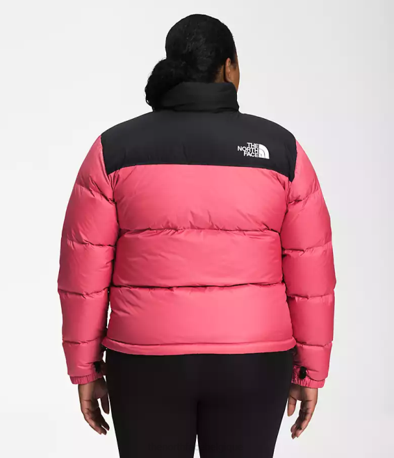 cosmos rose femmes The North Face plus veste nuptse rétro 1996 62XR799