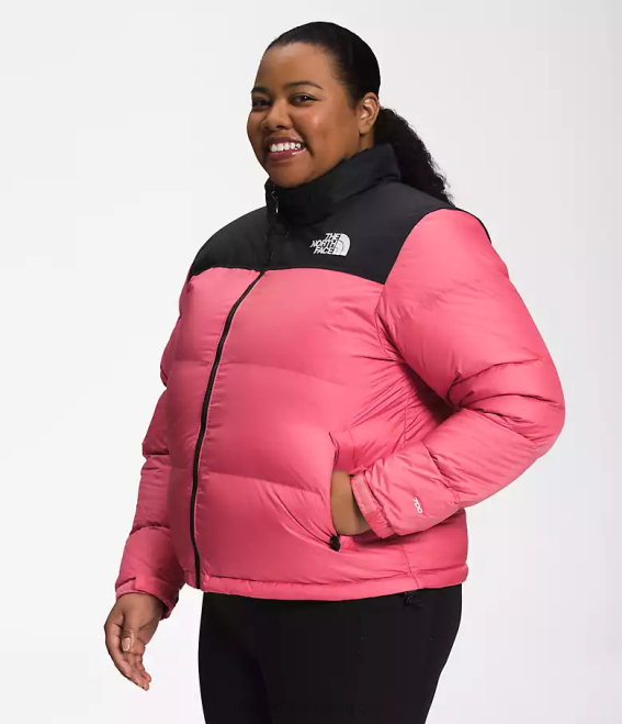 cosmos rose femmes The North Face plus veste nuptse rétro 1996 62XR799