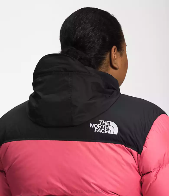 cosmos rose femmes The North Face plus veste nuptse rétro 1996 62XR799