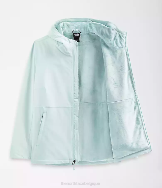 lucarne bleue femmes The North Face sweat à capuche shelbe raschel 62XR1178