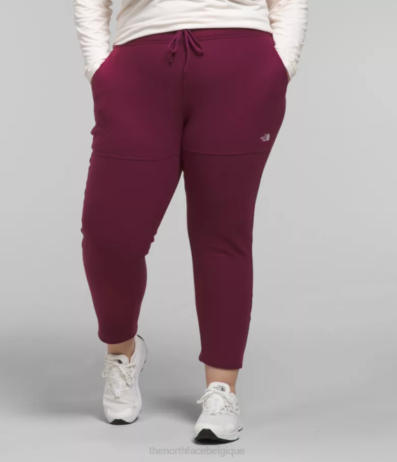 mûre de Boysen femmes The North Face plus pantalon alpin polartec 100 62XR251