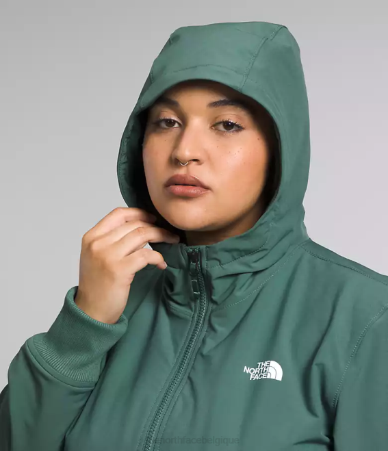 sauge noire femmes The North Face sweat à capuche shelbe raschel 62XR245