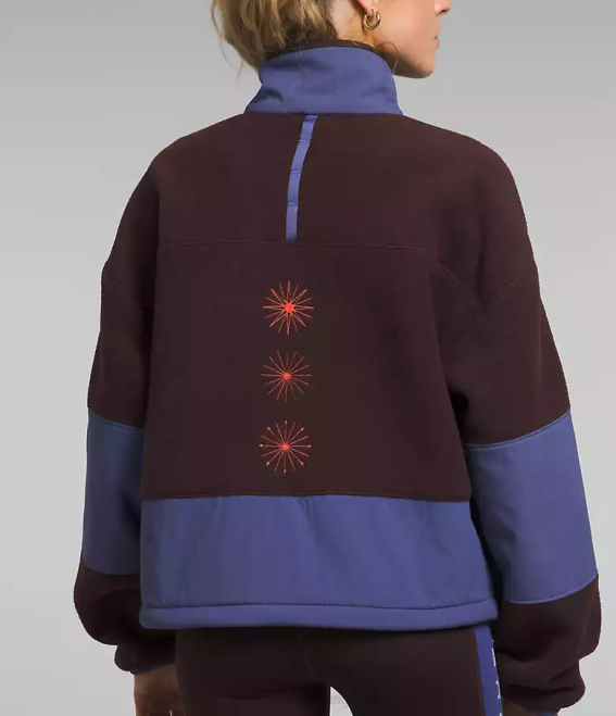 brun charbon/bleu caverne femmes The North Face trailwear fantasy ridge flash -zip 62XR55