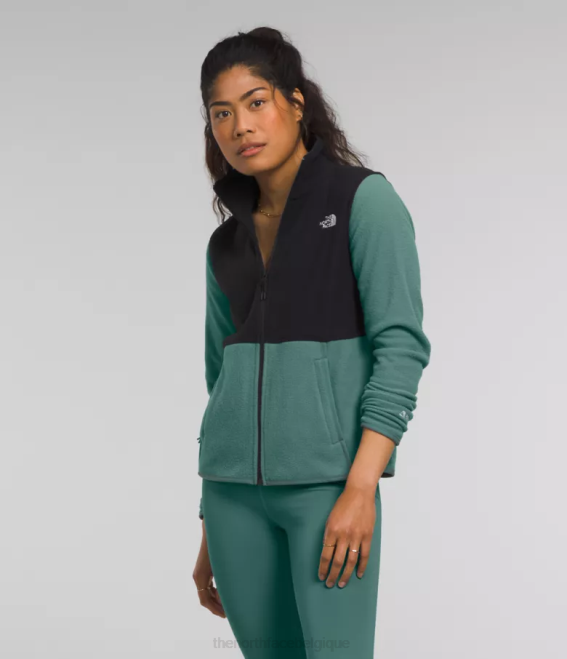 sauge foncée/noir tnf femmes The North Face veste alpine polartec 100 62XR443
