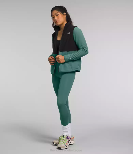 sauge foncée/noir tnf femmes The North Face veste alpine polartec 100 62XR443