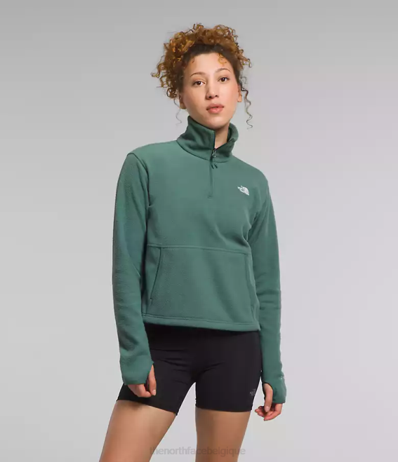 sauge noire femmes The North Face capot alpin polartec 100 -zip 62XR157
