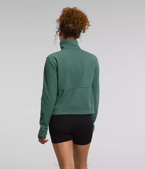 sauge noire femmes The North Face capot alpin polartec 100 -zip 62XR157