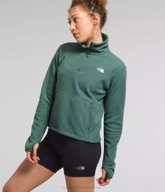 sauge noire femmes The North Face capot alpin polartec 100 -zip 62XR157