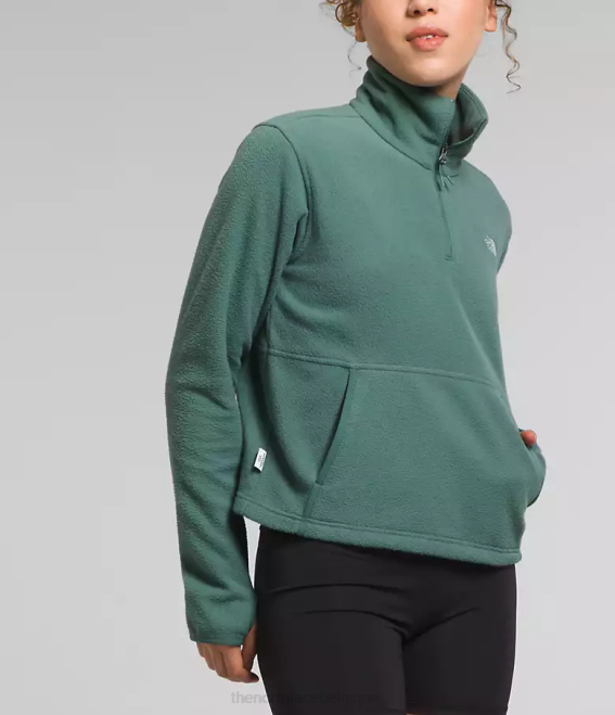 sauge noire femmes The North Face capot alpin polartec 100 -zip 62XR157