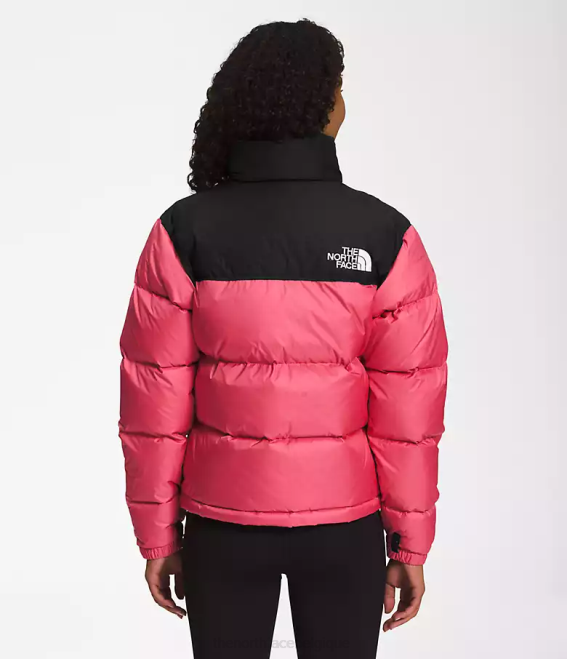 cosmos rose femmes The North Face veste nuptse rétro 1996 62XR729