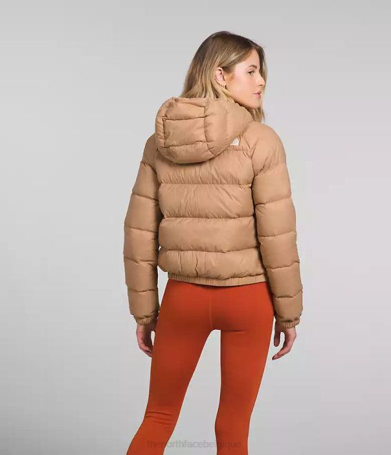 beurre d'amande femmes The North Face sweat à capuche en duvet hydrenalite 62XR892