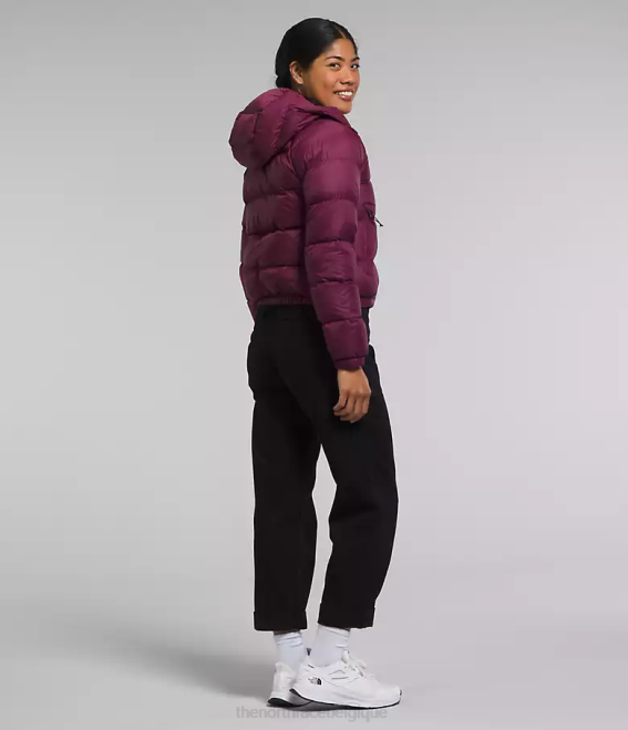 mûre de Boysen femmes The North Face sweat à capuche en duvet hydrenalite 62XR893