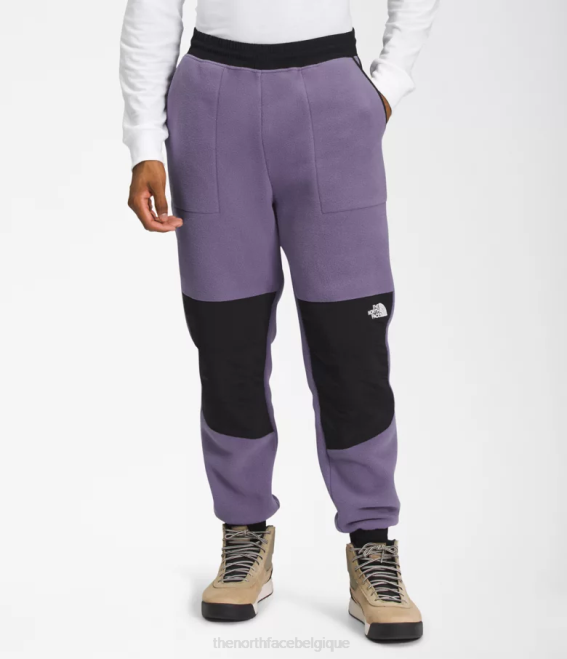 ardoise lunaire/noir tnf Hommes The North Face pantalon denali 62XR880