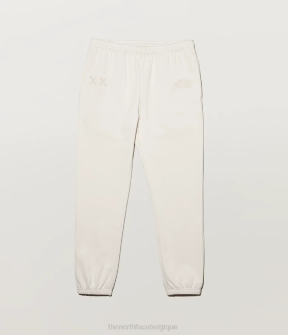 ivoire clair de lune Hommes The North Face pantalon de survêtement tnf x kaws 62XR551