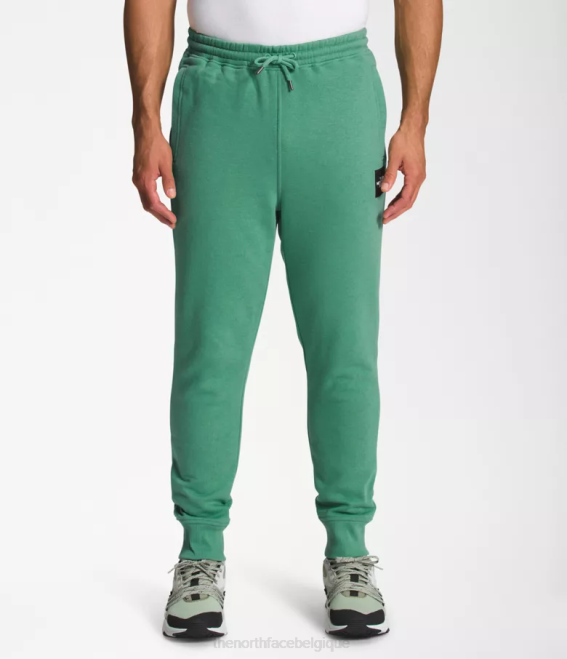 vert herbe foncé/noir tnf Hommes The North Face boxe nse joggers 62XR1041