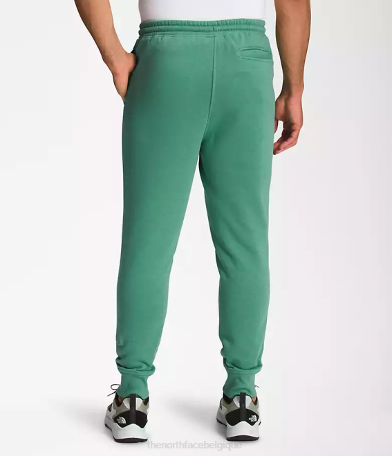 vert herbe foncé/noir tnf Hommes The North Face boxe nse joggers 62XR1041