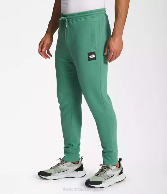 vert herbe foncé/noir tnf Hommes The North Face boxe nse joggers 62XR1041