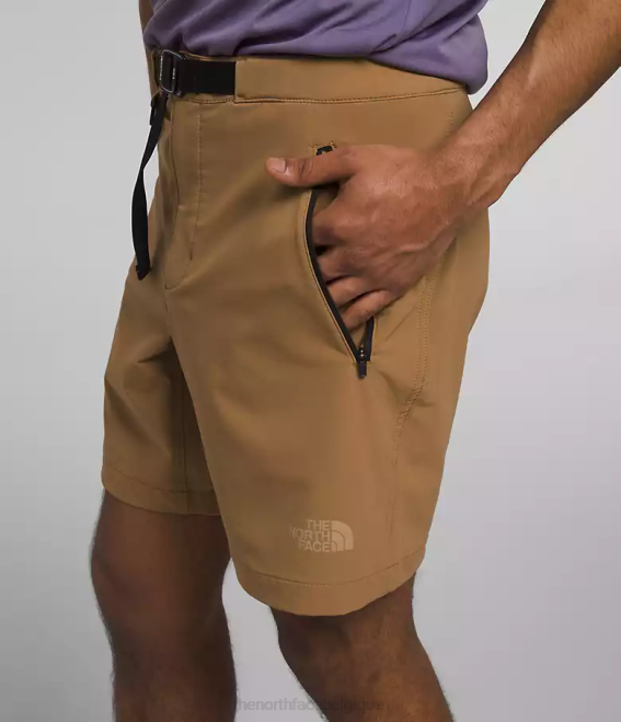 marron utilitaire Hommes The North Face short pro primordial 62XR927